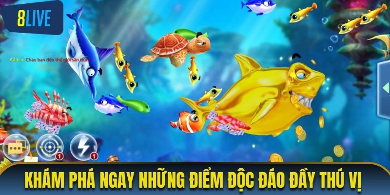 Khám phá ngay những điểm độc đáo đầy thú vị 